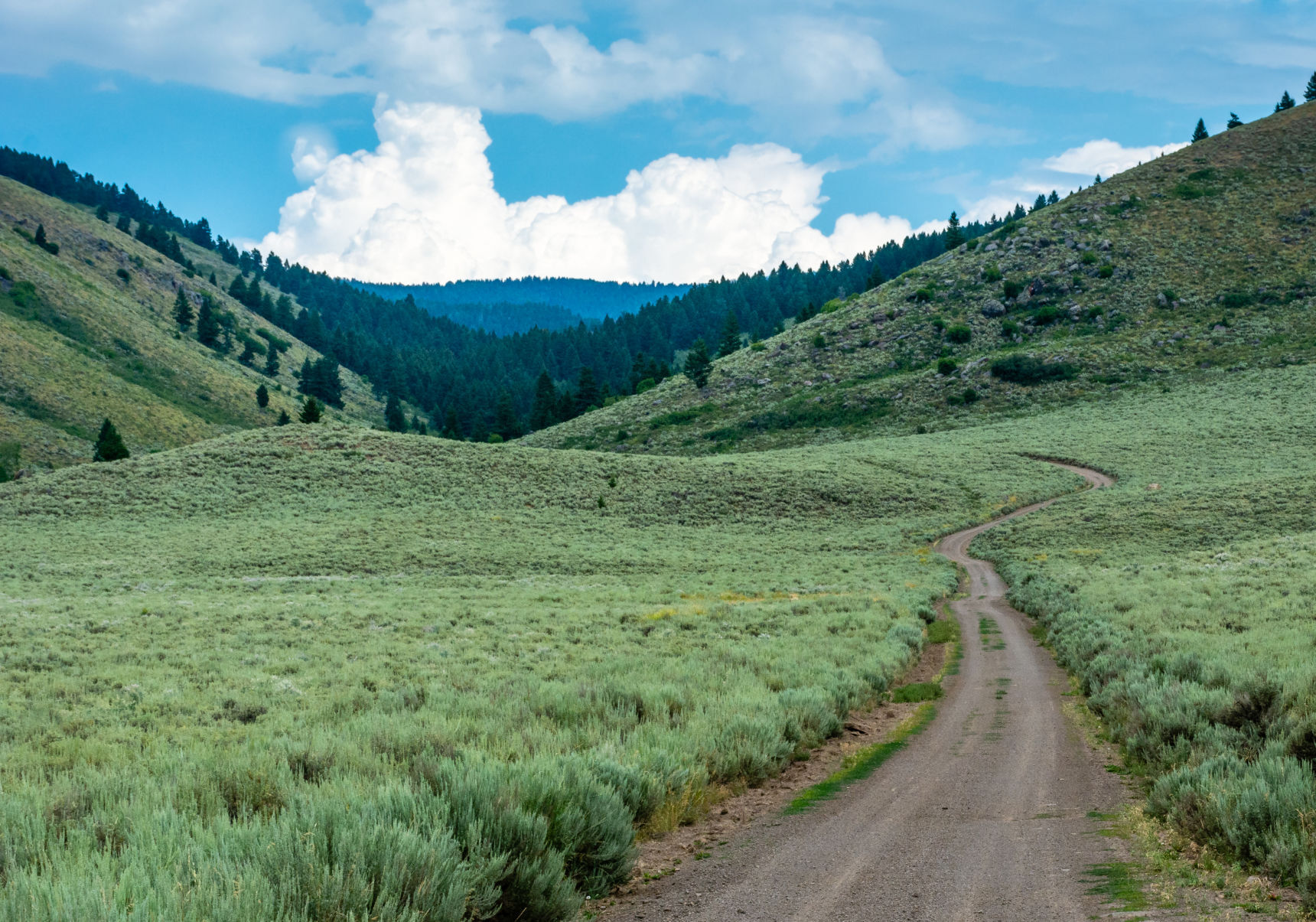 Corral Creek Road